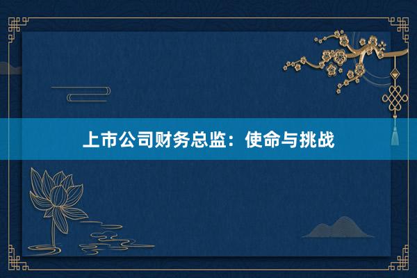 上市公司财务总监：使命与挑战