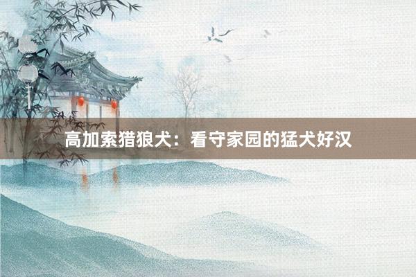 高加索猎狼犬：看守家园的猛犬好汉